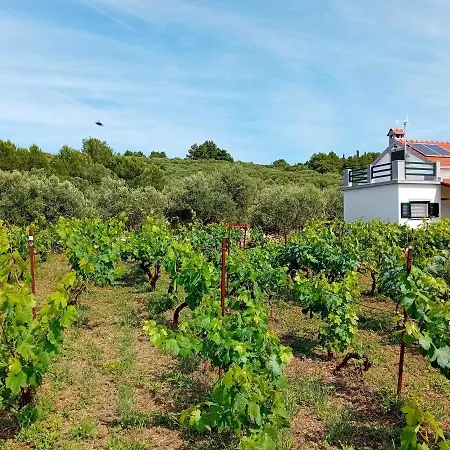 Nyaraló The Quiet *