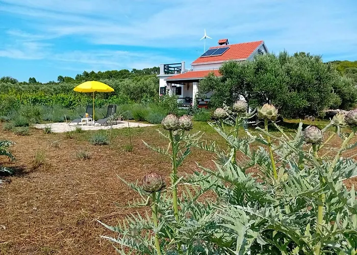 The Quiet * Vela Luka