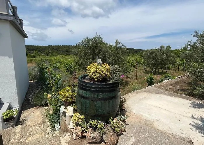 Nyaraló The Quiet *