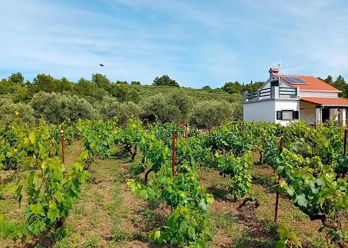 Nyaraló The Quiet *